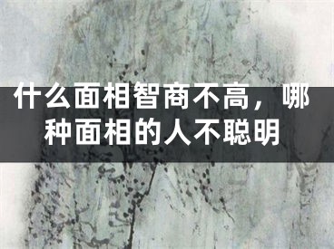 什么面相智商不高，哪种面相的人不聪明