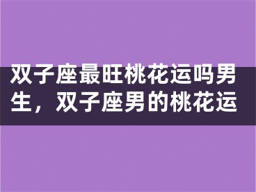 双子座最旺桃花运吗男生，双子座男的桃花运