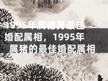 1995年属猪男最佳婚配属相，1995年属猪的最佳婚配属相