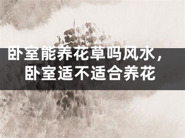 卧室能养花草吗风水，卧室适不适合养花