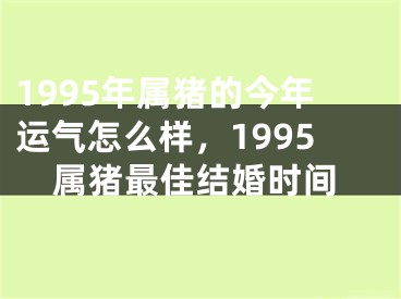 1995年属猪的今年运气怎么样，1995属猪最佳结婚时间