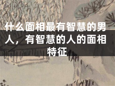 什么面相最有智慧的男人，有智慧的人的面相特征