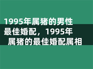 1995年属猪的男性最佳婚配，1995年属猪的最佳婚配属相