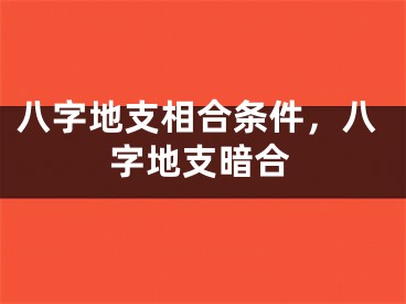 八字地支相合条件,八字地支暗合