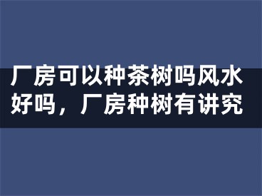 厂房可以种茶树吗风水好吗，厂房种树有讲究