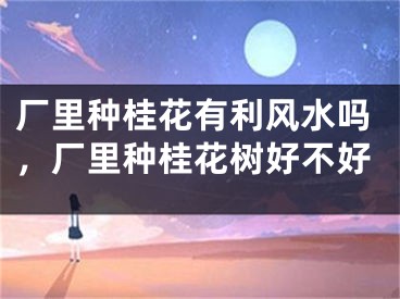 厂里种桂花有利风水吗，厂里种桂花树好不好