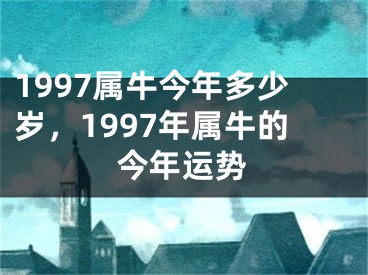 1997属牛今年多少岁，1997年属牛的今年运势