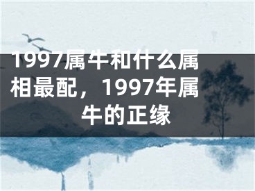 1997属牛和什么属相最配，1997年属牛的正缘