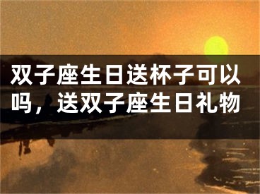 双子座生日送杯子可以吗，送双子座生日礼物
