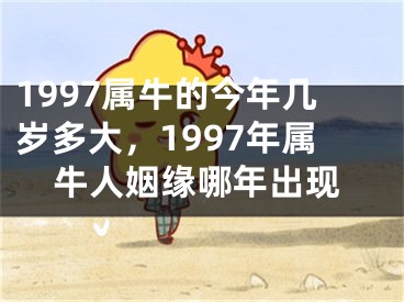 1997属牛的今年几岁多大，1997年属牛人姻缘哪年出现