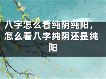 八字怎么看纯阴纯阳,怎么看八字纯阴还是纯阳