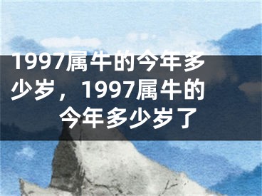 1997属牛的今年多少岁，1997属牛的今年多少岁了