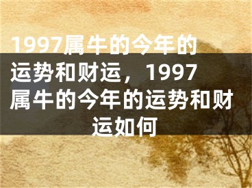 1997属牛的今年的运势和财运，1997属牛的今年的运势和财运如何