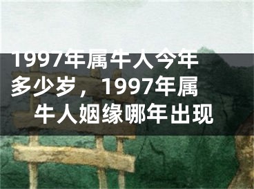 1997年属牛人今年多少岁,1997年属牛人姻缘哪年出现