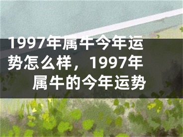 1997年属牛今年运势怎么样，1997年属牛的今年运势