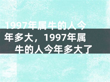 1997年属牛的人今年多大，1997年属牛的人今年多大了