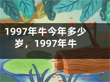 1997年牛今年多少岁，1997年牛