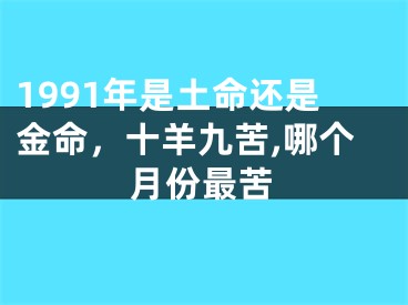 1991年是土命还是金命，十羊九苦,哪个月份最苦
