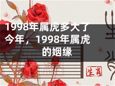 1998年属虎多大了今年,1998年属虎的姻缘