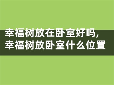 幸福树放在卧室好吗,幸福树放卧室什么位置