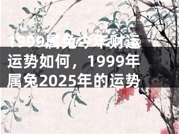 1999属兔今年财运运势如何，1999年属兔2025年的运势