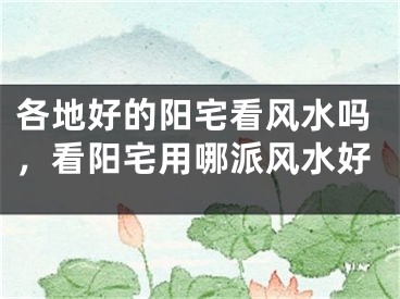 各地好的阳宅看风水吗，看阳宅用哪派风水好
