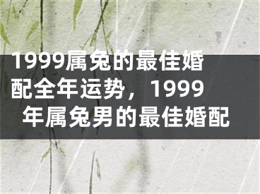 1999属兔的最佳婚配全年运势,1999年属兔男的最佳婚配
