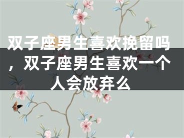 双子座男生喜欢挽留吗，双子座男生喜欢一个人会放弃么