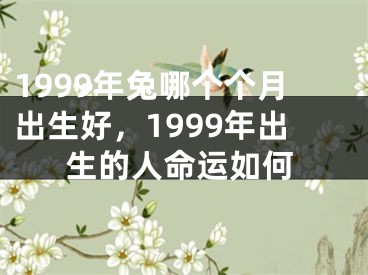 1999年兔哪个个月出生好,1999年出生的人命运如何