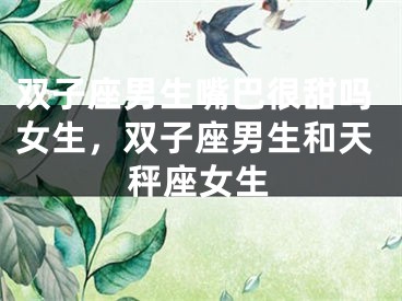 双子座男生嘴巴很甜吗女生，双子座男生和天秤座女生