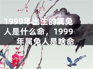 1999年出生的属兔人是什么命,1999年属兔人是啥命