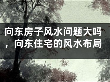 向东房子风水问题大吗，向东住宅的风水布局