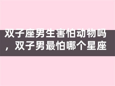 双子座男生害怕动物吗,双子男最怕哪个星座