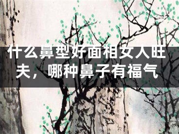 什么鼻型好面相女人旺夫，哪种鼻子有福气
