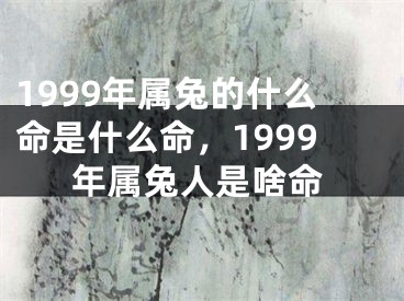1999年属兔的什么命是什么命，1999年属兔人是啥命