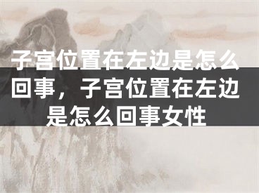 子宫位置在左边是怎么回事,子宫位置在左边是怎么回事女性