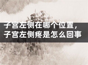 子宫左侧在哪个位置，子宫左侧疼是怎么回事