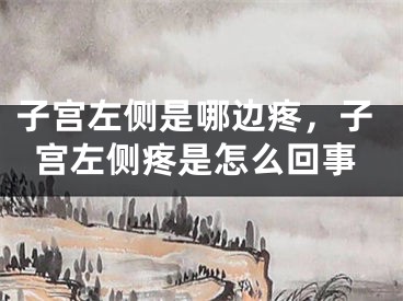 子宫左侧是哪边疼，子宫左侧疼是怎么回事