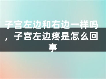 子宫左边和右边一样吗，子宫左边疼是怎么回事