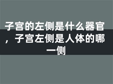 子宫的左侧是什么器官，子宫左侧是人体的哪一侧