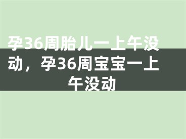 孕36周胎儿一上午没动，孕36周宝宝一上午没动