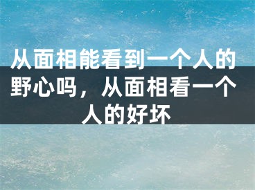 从面相能看到一个人的野心吗，从面相看一个人的好坏