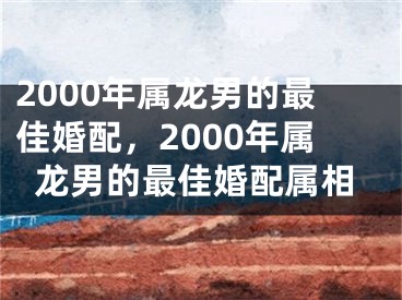 2000年属龙男的最佳婚配，2000年属龙男的最佳婚配属相