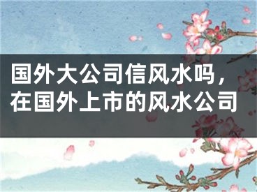 国外大公司信风水吗，在国外上市的风水公司
