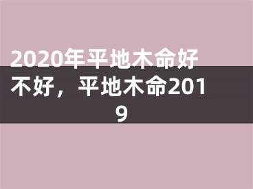 2020年平地木命好不好，平地木命2019