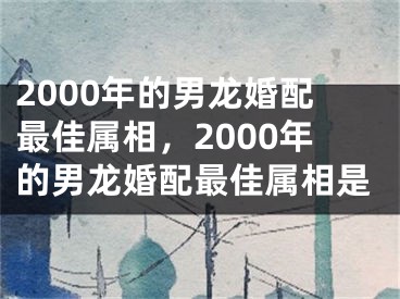 2000年的男龙婚配最佳属相，2000年的男龙婚配最佳属相是
