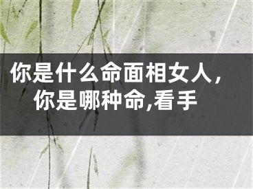 你是什么命面相女人，你是哪种命,看手
