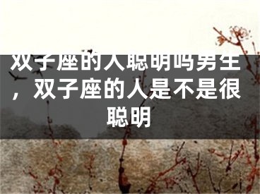 双子座的人聪明吗男生，双子座的人是不是很聪明