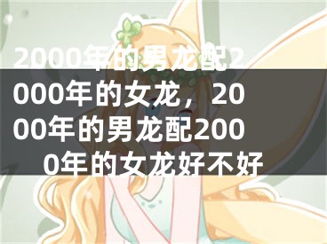 2000年的男龙配2000年的女龙,2000年的男龙配2000年的女龙好不好