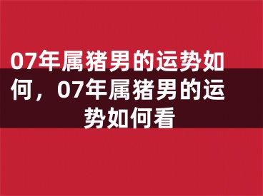 07年属猪男的运势如何，07年属猪男的运势如何看